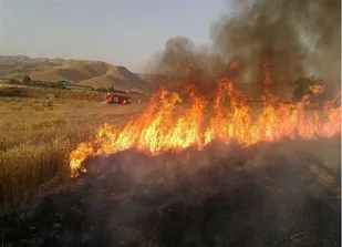 کشاورزان هشدارهای حریق را جدی بگیرند
