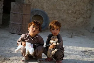 سرانه بیکاری در کردستان بالاست