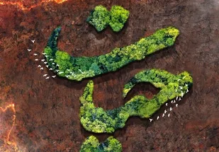 "پویش ملی حیات" آغاز به&zwnj; کار کرد/ استفاده از ظرفیت ۵۰ گروه جهادی برای حفظ عرصه&zwnj;های طبیعی