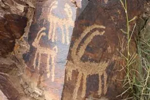 تمدن ۱۷ هزار&zwnj; ساله را آب برد