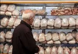بازار مرغ در دست دلالان!