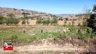 کمک به اشتغال و تولید ثروت در مناطق محروم با طرح&zwnj;های قرارگاه محرومیت زدایی سپاه کربلا