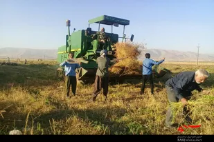 اردوی جهادی بسیجیان پایگاه بیت المقدس توانه نهاوند