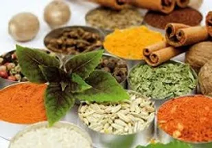 تأثیرات طب سنتی در درمان بیماری ها