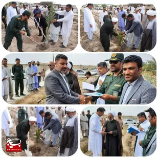 نهال کاری در محوطه سپاه ایرانشهر
