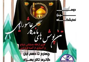 تولیدات فرهنگی سازمان&zwnj;های مردم&zwnj; نهاد بوشهر حمایت می شود