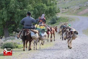 آمادگی اداره کل امور عشایر خوزستان برای بازگشت عشایر از ییلاقات