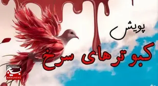 پویش کبوترهای سرخ در حمایت از کودکان غزه