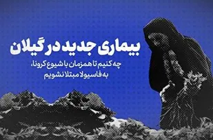 ابتلای ۳۳ نفر در استان گیلان به بیماری فاسیولا