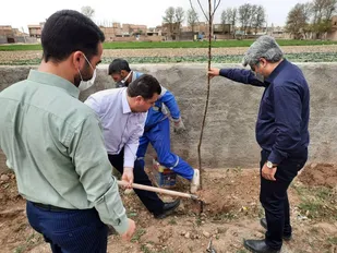 پویش کاشت درخت به یاد سردار دل ها در پیشوا/ ۱۵۰۰ نهال در روستاهای بخش مركزي پیشوا غرس شد