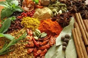 برگزاری کارگاه آموزش کاشت و نحوه استفاده گیاهان داروئی در مغان شاهرود