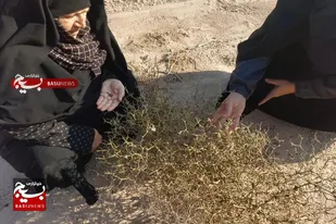 اردوی راهیان پیشرفت در سرخه برگزار شد