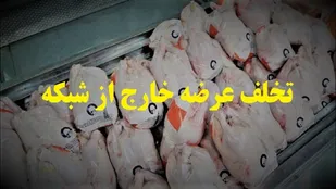 جریمه ۳۳ میلیارد ریالی واحد عمده فروشی مرغ در تبریز