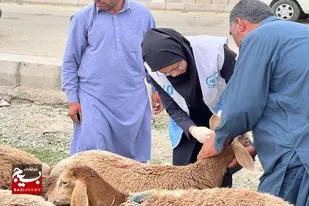 ۶۰۰ هزار خدمت به دامدران در مناطق محروم استان سیستان و بلوچستان