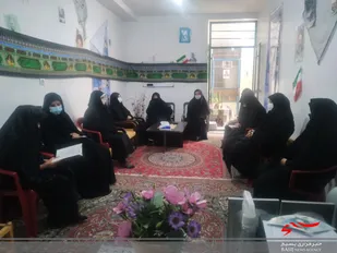 پیاده روی خواهران بسیجی شاهرود+ تصاویر