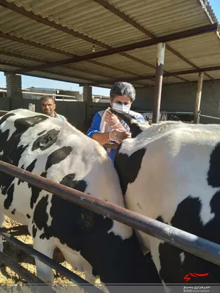 رزمایش &laquo; بسیج کشاورزی، جهاد خدمت &raquo; در روستای آبدکی فردوس