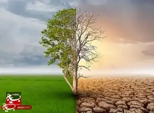 درختکاری؛ از ارکان حیاتی حفظ محیط زیست