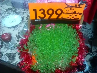 برگزاری عید مبعث توسط حوزه ۱۵ خواهران