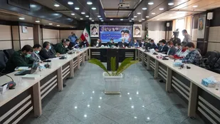 بخش کشاورزی، آسیب پذیرترین بخش در سیل اخیر استان