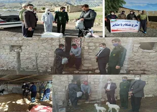طرح همگام با عشایر در شهرستان دره شهر اجرا شد