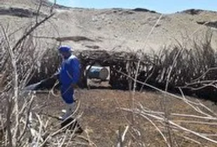 حضور ۲۷ جهادگر در قالب ۸ تیم عملیاتی تخصصی دامپزشکی در نهبندان
