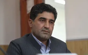 توزیع سیب زمینی توسط دولت شائبه انتخاباتی دارد