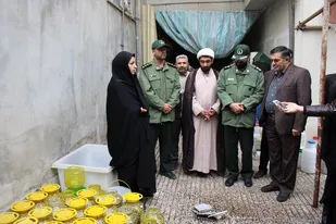 اشتغالزایی 300 نفر با اجرای طرح های اقتصاد مقاومتی در گرگان