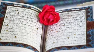 بیانیه دارالقرآن بسیج سپاه امام سجاد علیه السلام استان هرمزگان در پی اهانت به ساحت مقدس قرآن کریم