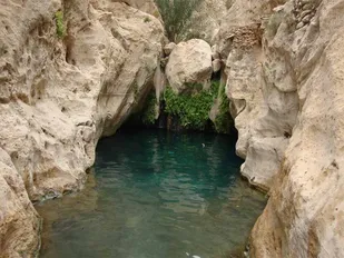 شناسایی حدود ۵ هزار دهنه چشمه در سطح استان اردبیل