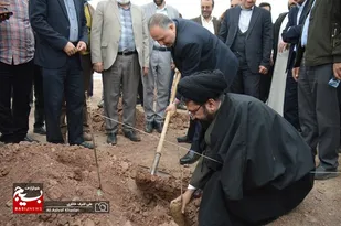 امسال صدها هکتار از اراضی شهرستان ری درختکاری شد