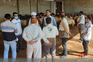 اردوی جهادی دامپزشکی در مناطق محروم بوشهر برگزار شد