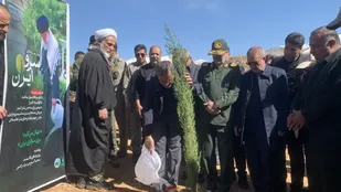 سرو ایران در خاک کهگیلویه و بویراحمد کاشته شد + (تصاویر)