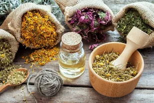تعداد مراجعه&zwnj;کننده به طب سنتی افزایش یافته است/مجوز تولید برای محصولات ارگانیک صادر نمی&zwnj;شود