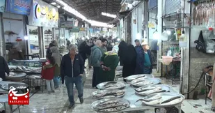 بازار ماهی فروشان شهرستان تنکابن با ۷۰ سال قدمت