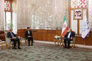 تاکید رئیس مجلس بر همکاری&zwnj;های سیاسی و امنیتی ایران و پاکستان