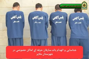 شناسایی و انهدام باند سارقان حرفه&zwnj;ای اماکن خصوصی در شهرستان ملایر