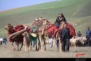عشایر خراسان&zwnj;شمالی امنیت لازم برای کوچ را ندارند