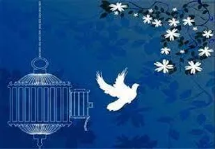 آزادی ۴۵ زندانی جرائم غیر عمد در آذربایجان شرقی