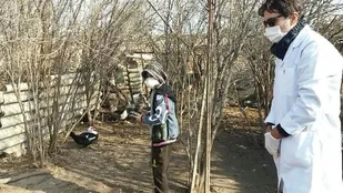 واکسیناسیون رایگان طیور در آرادان