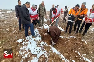کاشت درخت با حضور فرمانده سپاه انصارالحسین (ع) در کبودراهنگ