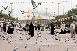 بازسازی عتبات و عالیات یک فرصت طلایی/دنیای اسلام گرفتار تفکر غلط تکفیری است