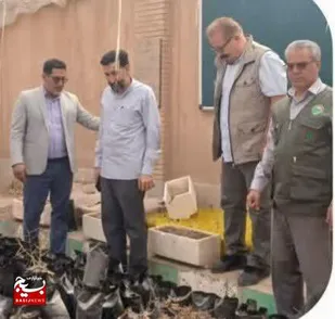 احداث ۱۰۵ نهالستان دانش&zwnj;آموزی در مدارس استان سمنان