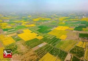 هشدار داستانی به مسئولان دولتی برای واگذاری زمین به سرمایه&zwnj;گذاران