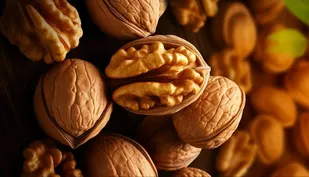 برداشت ۲۴ هزار تن گردو از باغات آذربایجان شرقی