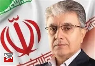 قوانین مخل کسب و کار سرمایه&zwnj;گذاران را رنج می&zwnj;دهد