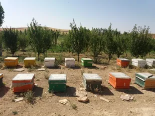 اقتصاد مقاومتی تقویت حس خودباوری و خودکفایی است
