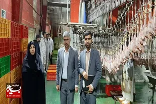 اجرای طرح ابتکاری نظارت بر بازار و واحدهای تولیدی و صنعتی در همدان