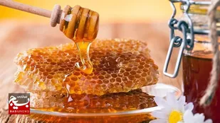 تولید سالانه ۵۰ تن عسل در بردسکن؛ رونق صنعت زنبورداری و اشتغال&zwnj;زایی