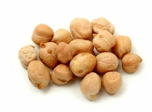 برداشت نخود پاییزه و انتظاری در مزارع ارومیه
