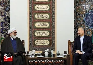 موافقت امیرعبداللهیان با تشکیل کارگروه امام رضا (ع) در وزارت خارجه/ تسهیلگری زیارت را رسالت&zwnj;&zwnj; خود می&zwnj;دانیم
